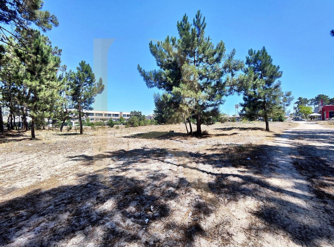 Land in Azeitao (Sao Lourenco e Sao Simao), Setubal, Portugal 1 - 18002449