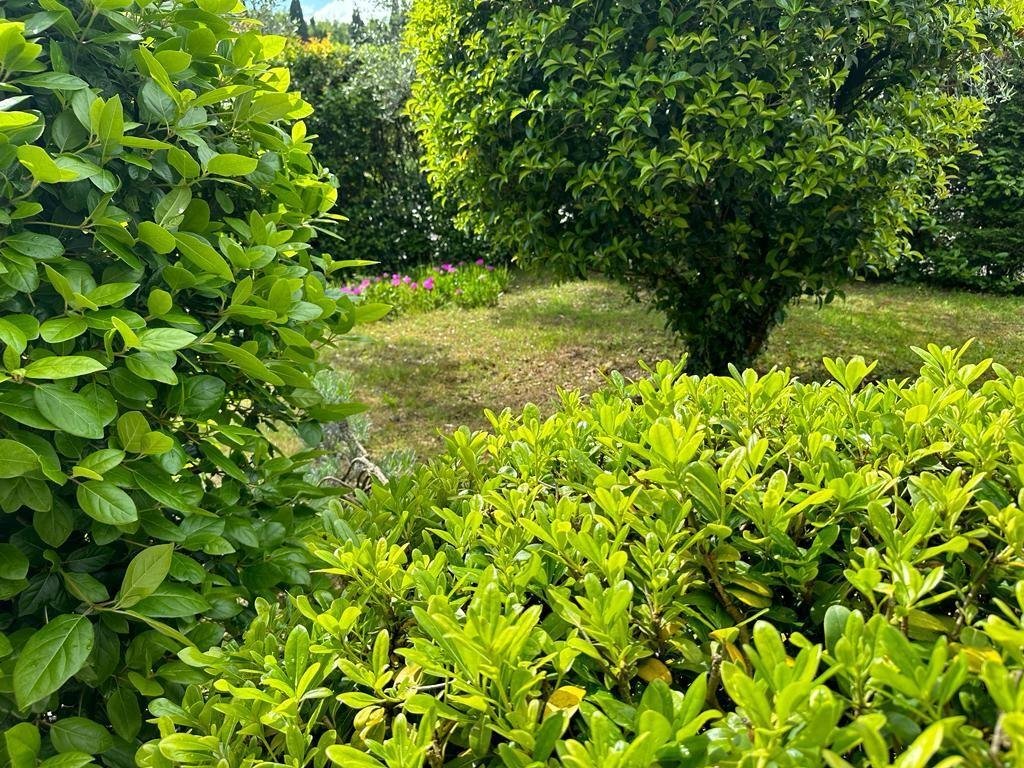 Villa in Bassa - Gavena - Pieve a Ripoli, Cerreto Guidi, Tuscany 1 - 18002165