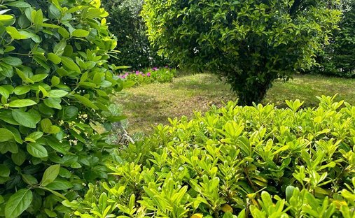 Villa a Bassa - Gavena - Pieve a Ripoli, Cerreto Guidi, Toscana 1