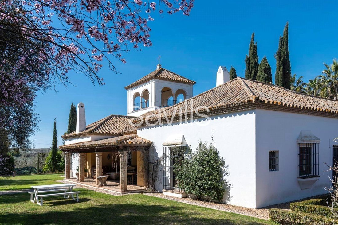 Country House in Mairena del Aljarafe, Andalusia, Spain 1 - 18002174
