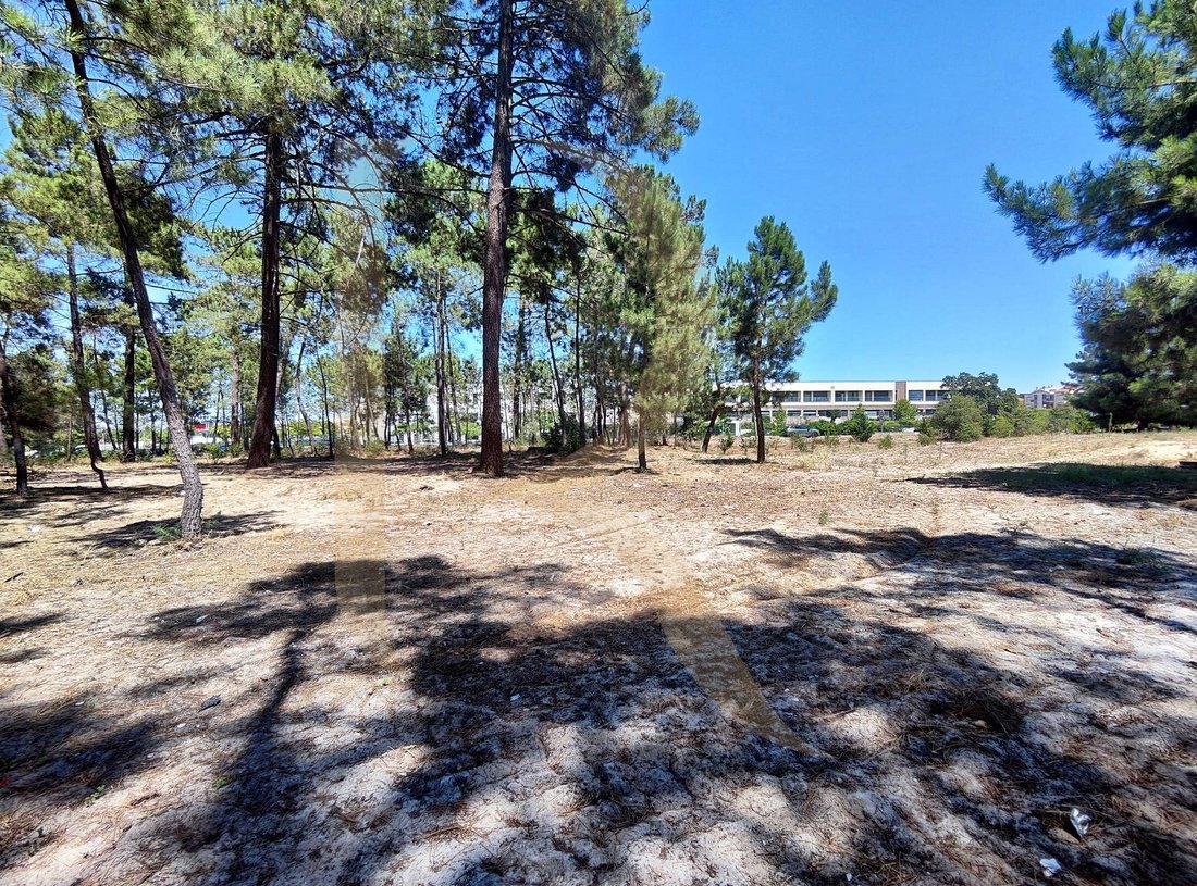 Land in Azeitao (Sao Lourenco e Sao Simao), Setubal, Portugal 2 - 18002449