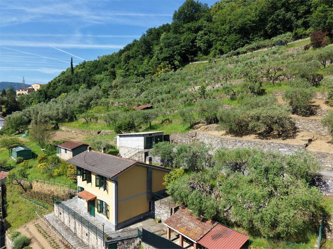 Villa in Saint Peter of Novella - Saint Andrew of Foggia - Montepegli, Rapallo, Liguria 2 - 18002129