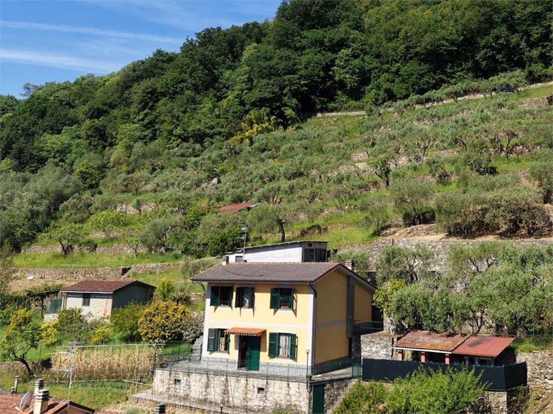 Villa in Saint Peter of Novella - Saint Andrew of Foggia - Montepegli, Rapallo, Liguria 1 - 18002129