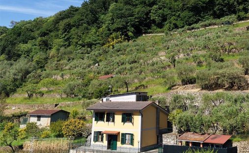 Villa in Saint Peter of Novella - Saint Andrew of Foggia - Montepegli, Rapallo, Liguria 1