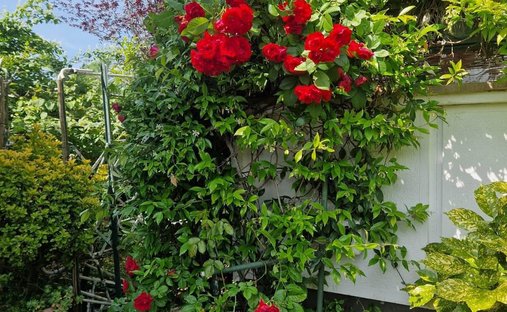 Apartment in Gassino Torinese, Piedmont, Italy 1
