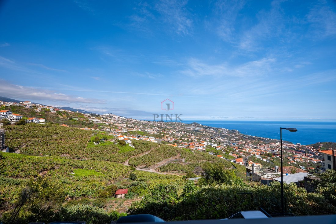 Apartment in Estreito de Camara de Lobos, Madeira, Portugal 2 - 17772699