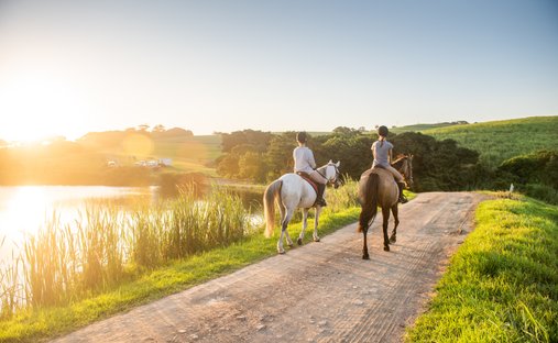 Land in Dolphin Coast, KwaZulu-Natal, South Africa 1