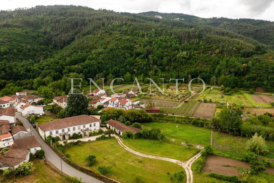 Finca in Coja e Barril de Alva, Coimbra District, Portugal 2 - 18002444