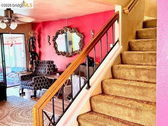 House in Hercules, California, United States 3 - 18001064