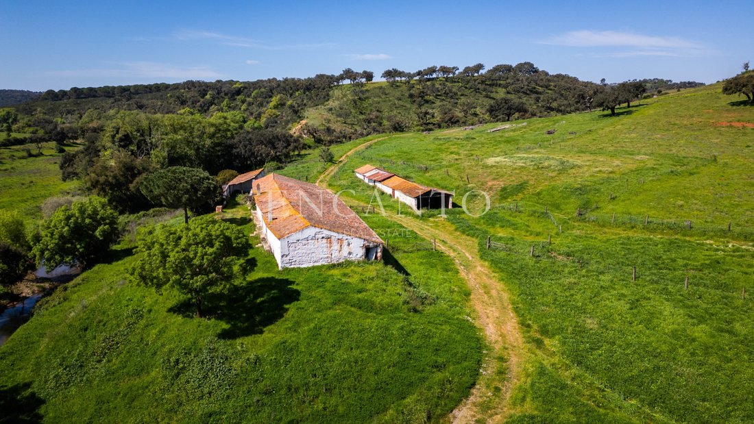 Tenuta a Boavista dos Pinheiros, Distretto di Beja, Portogallo 5 - 18002460