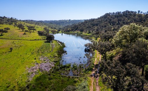 Finca en Boavista dos Pinheiros, Distrito de Beja, Portugal 1