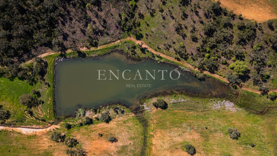 Tenuta a Boavista dos Pinheiros, Distretto di Beja, Portogallo 4 - 18002460