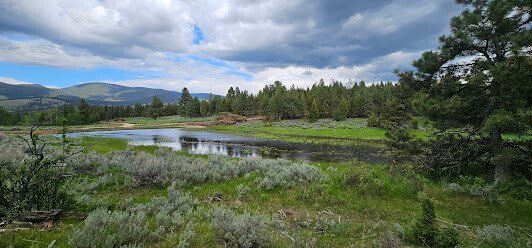 Land in Helmville, Montana, United States 4 - 18002524