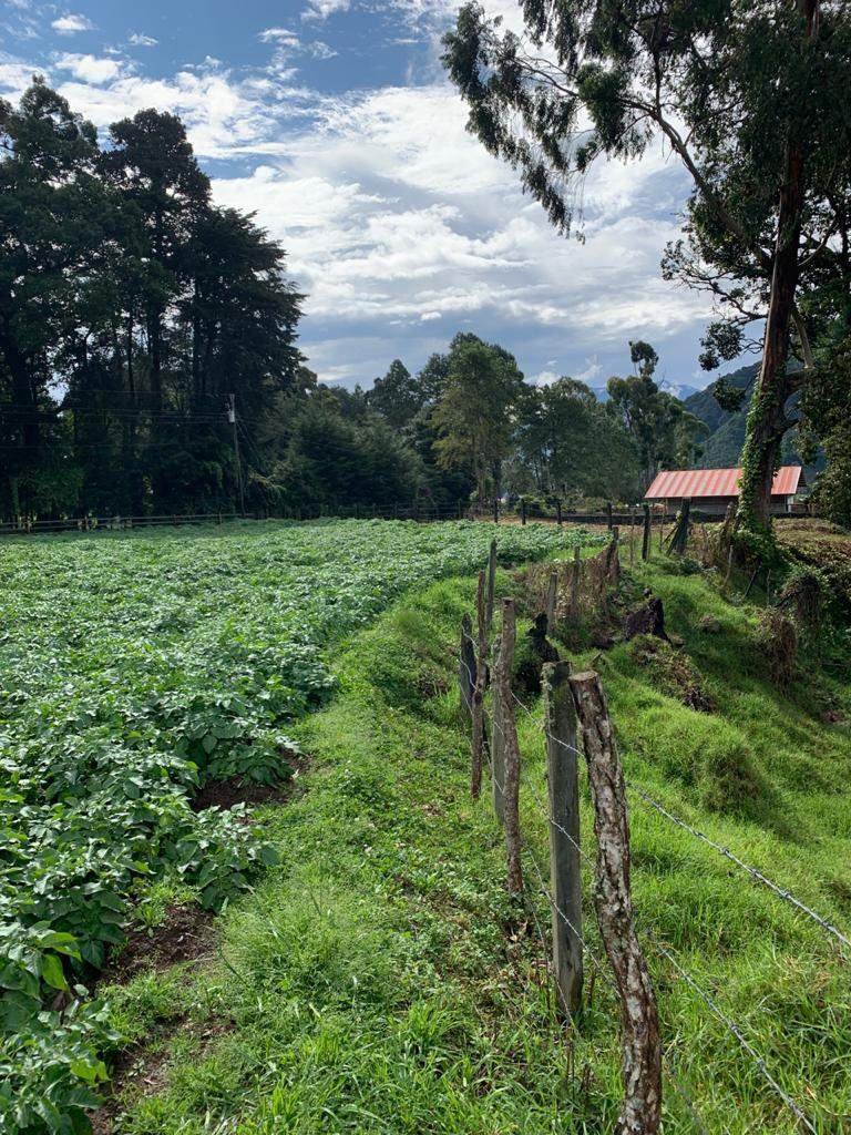 Land in Cerro Punta, Chiriquí Province, Panama 1 - 17970191