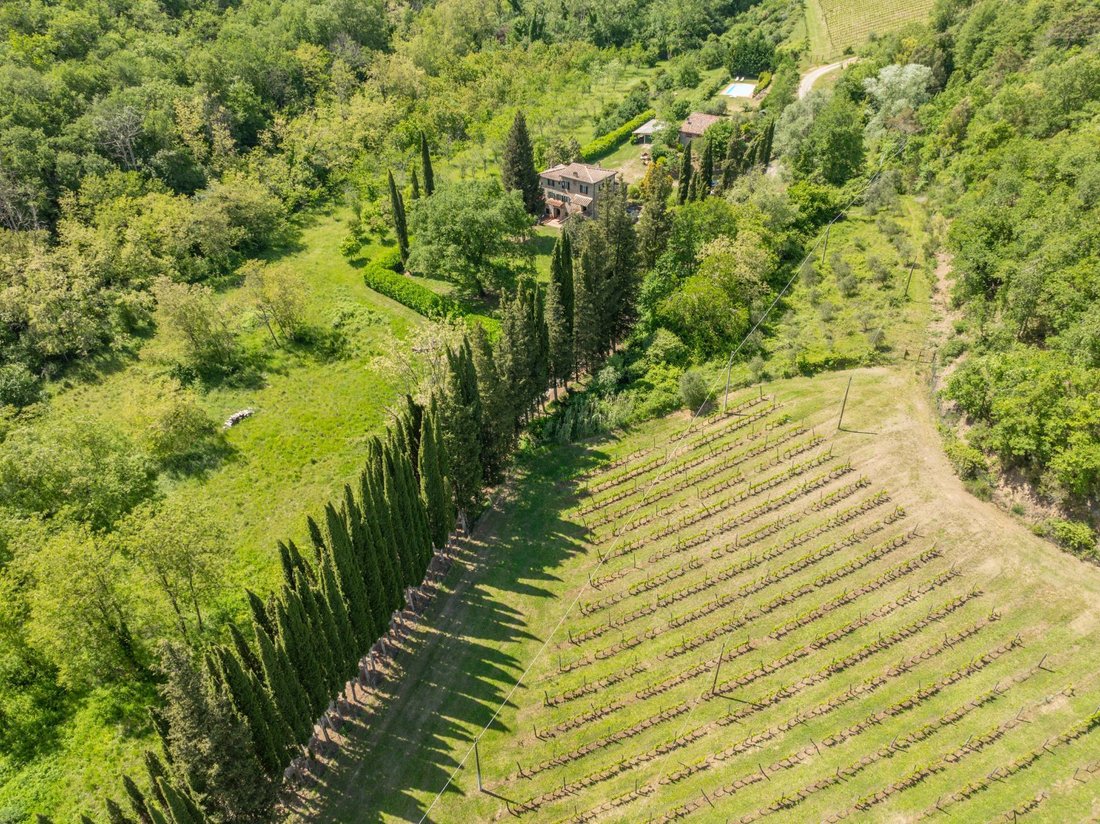 Villa in Gaiole in Chianti, Tuscany, Italy 5 - 17651014