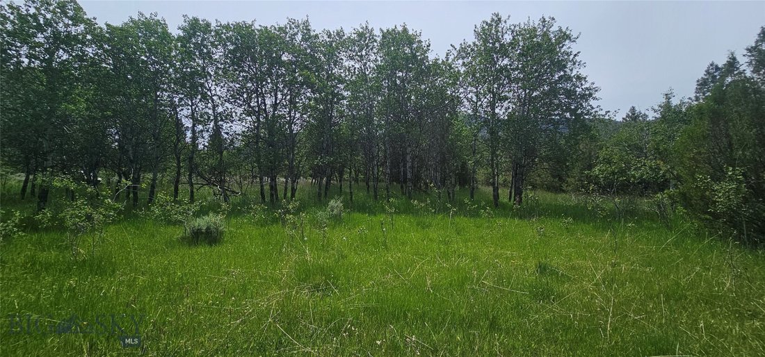 Land in Helmville, Montana, United States 4 - 18002523