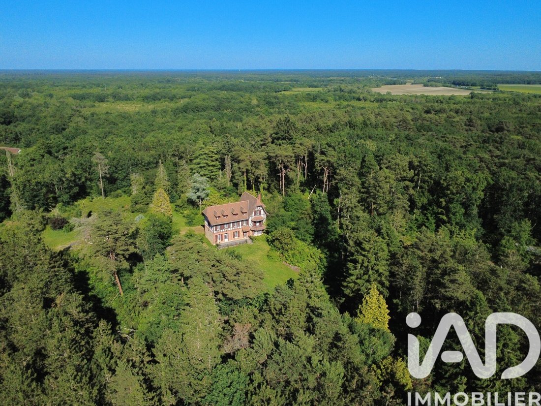 House in Mennetou-sur-Cher, Centre-Val de Loire, France 4 - 18001639