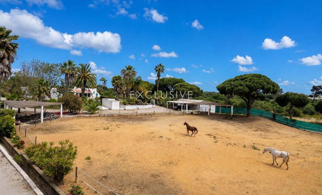 Villa in Quarteira, Algarve, Portugal 2 - 17930432