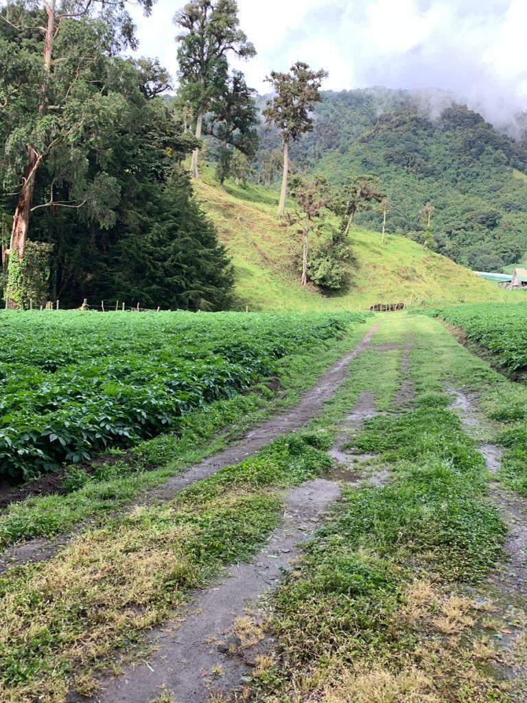 Land in Cerro Punta, Chiriquí Province, Panama 5 - 17970191