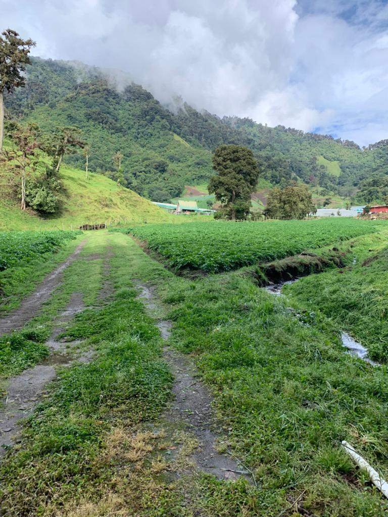 Land in Cerro Punta, Chiriquí Province, Panama 2 - 17970191