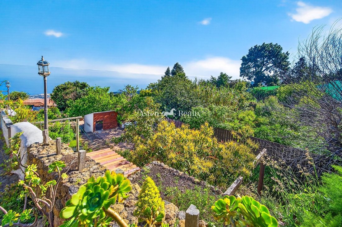 Finca in Icod de los Vinos, Canary Islands, Spain 4 - 18003896