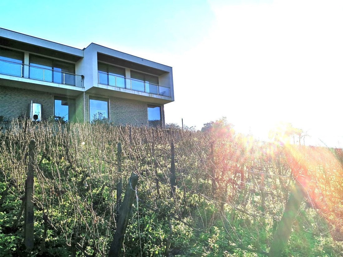 Villa in Barqueiros, Vila Real District, Portugal 2 - 18003749