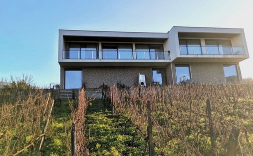 Villa in Barqueiros, Vila Real, Portugal 1