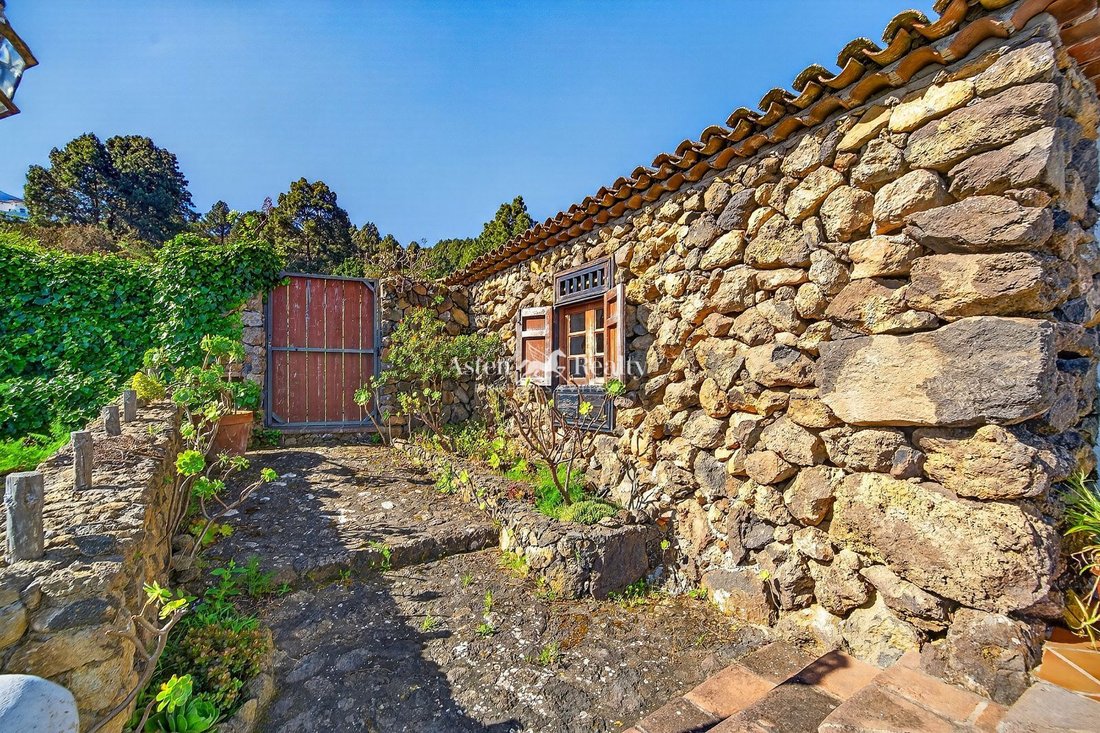 Finca in Icod de los Vinos, Canary Islands, Spain 2 - 18003896