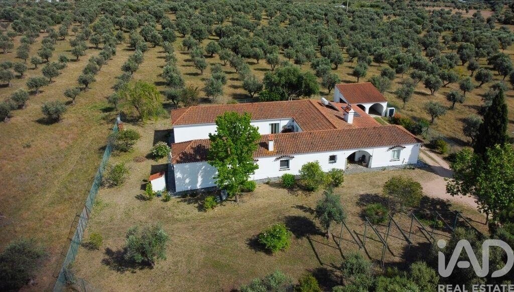 Terreno en Assuncao, Distrito de Portalegre, Portugal 2 - 18004142
