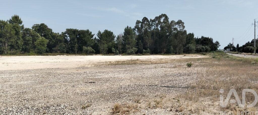 Land in Almeirim, Santarem District, Portugal 4 - 18003990