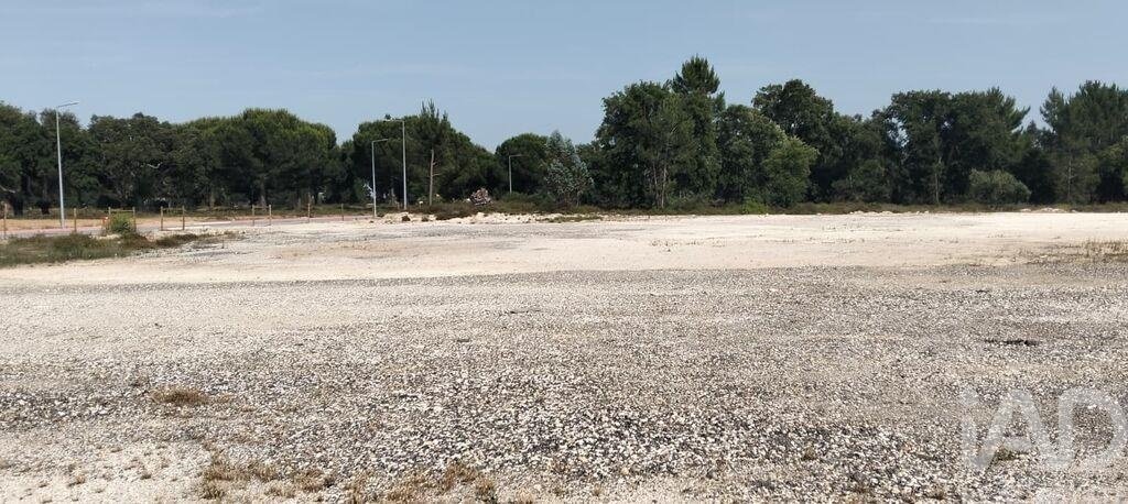 Land in Almeirim, Santarem District, Portugal 5 - 18003990