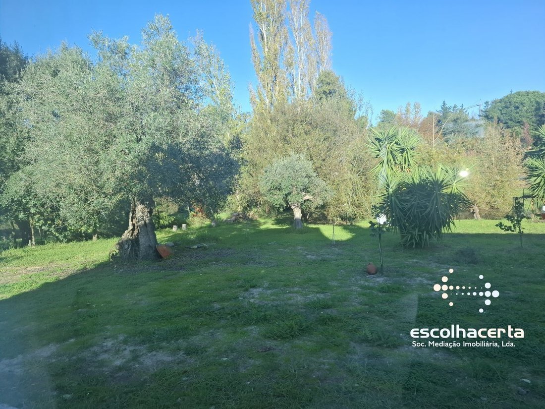 Country House in Quinta do Anjo, Setubal, Portugal 2 - 17896661