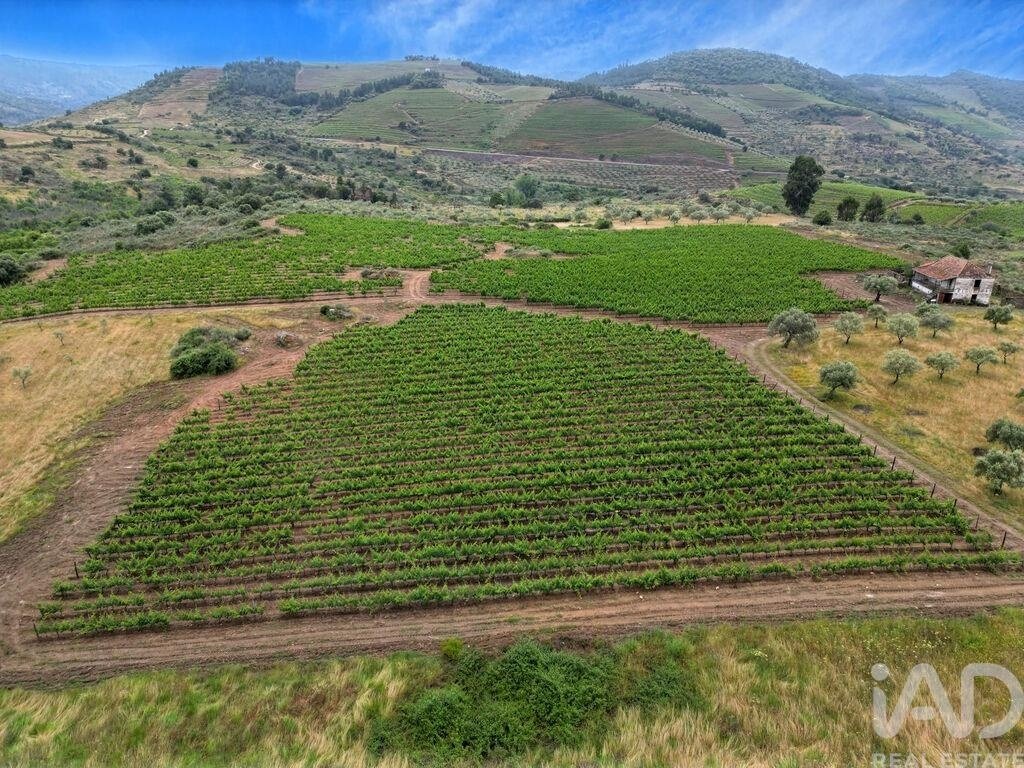 Terrain à Vila Flor e Nabo, Bragance, Portugal 3 - 17556195