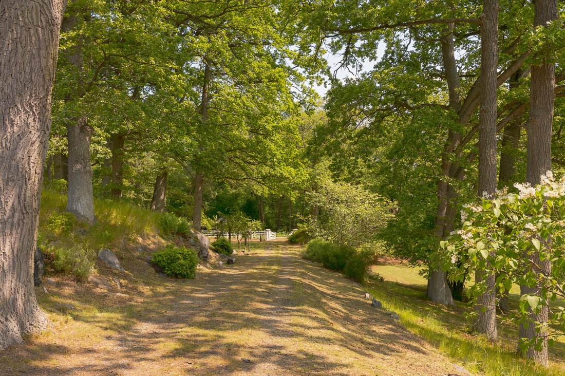 Värmdö, Stockholm County, Sweden 4 - 18003985