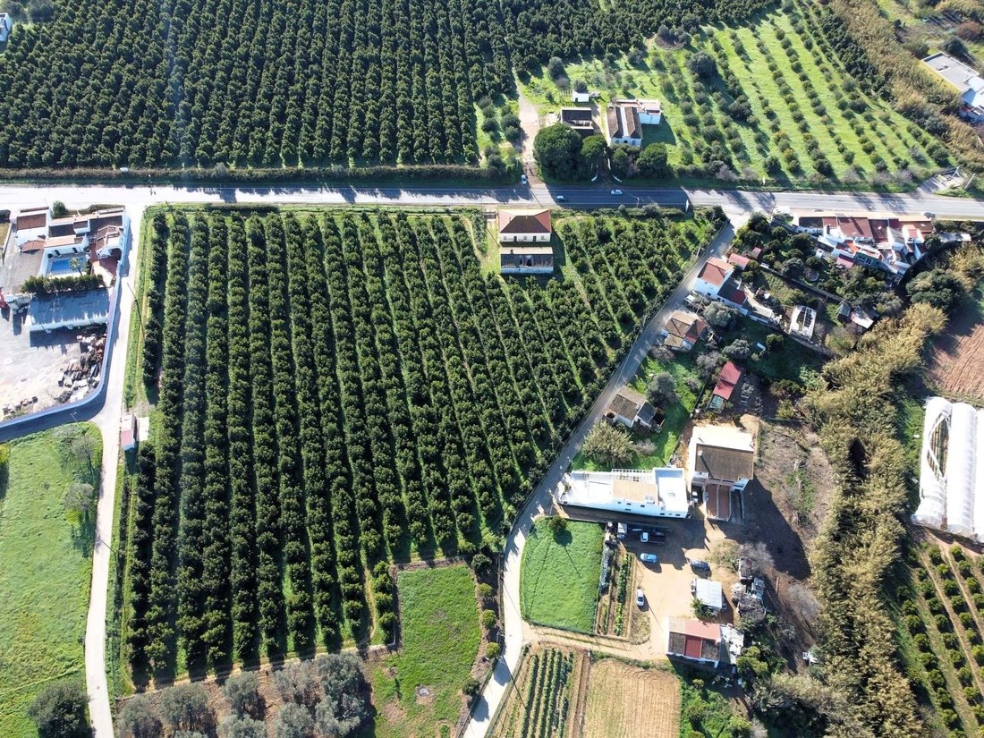 Farm Ranch in Vila Nova de Cacela, Algarve, Portugal 2 - 18004319