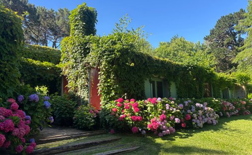 House in San Carlos, Maldonado Department, Uruguay 1