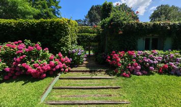 House in San Carlos, Maldonado Department, Uruguay 2