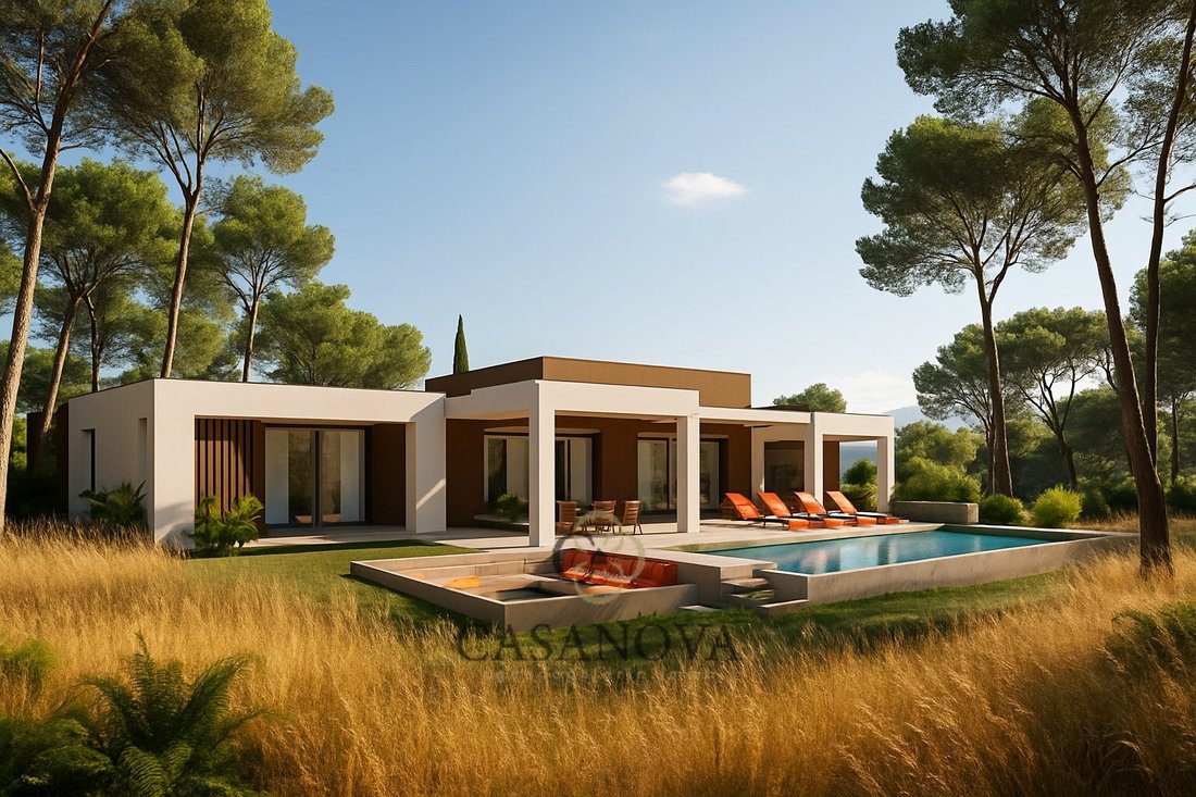 Villa in Montferrier-sur-Lez, Occitania, France 3 - 18010507