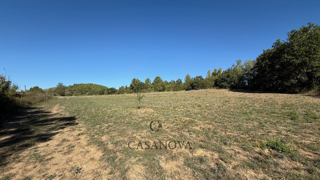Murviel-les-Beziers, Occitania, France 5 - 18010573