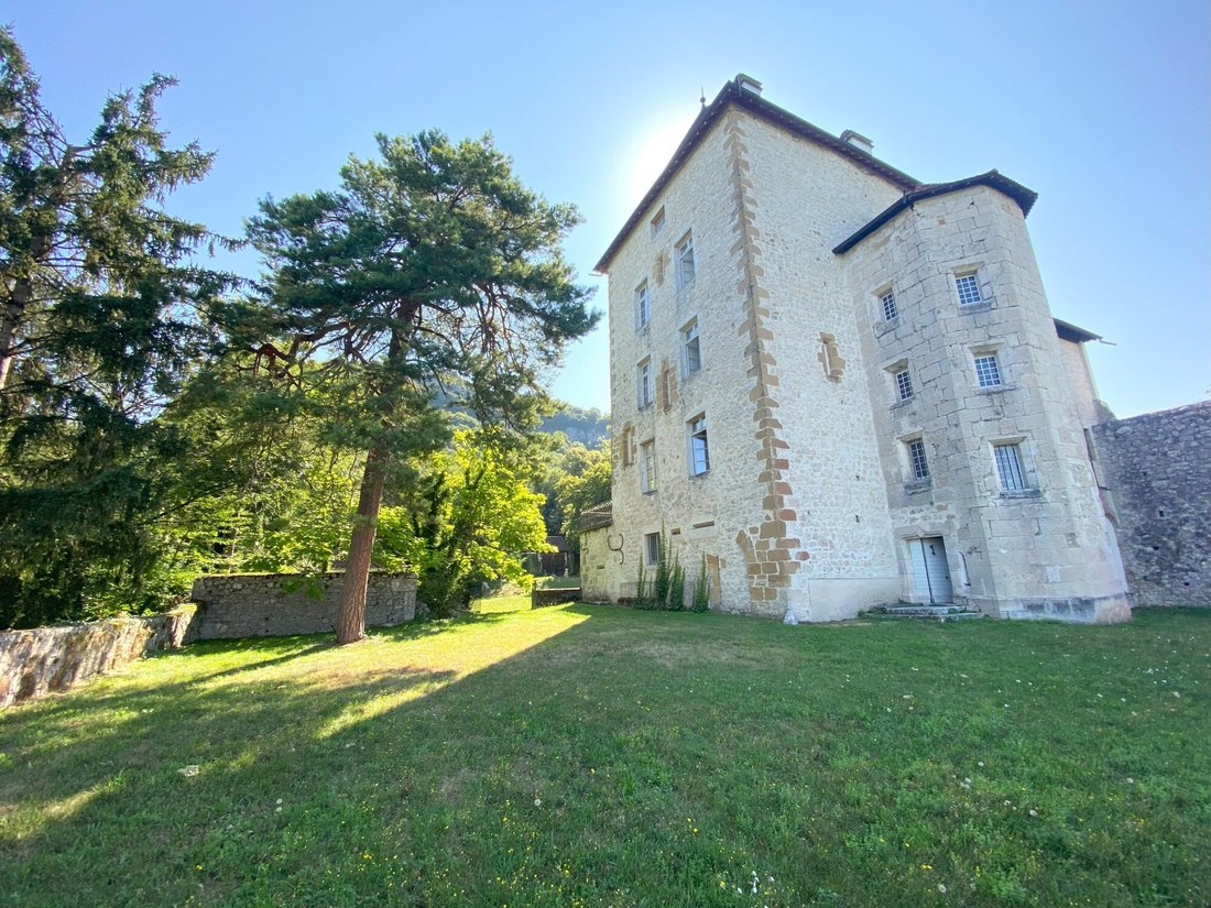 Chateau in Bregnier-Cordon, Auvergne-Rhône-Alpes, France 2 - 18012134