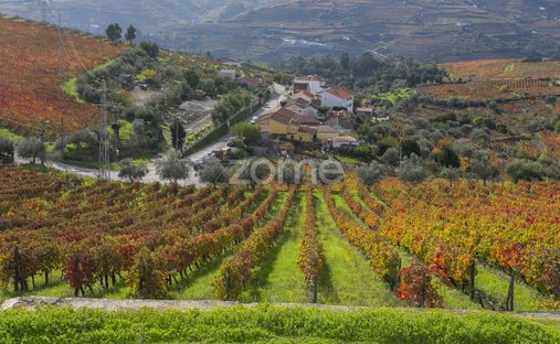 Finca in Fontelas, Vila Real, Portugal 1