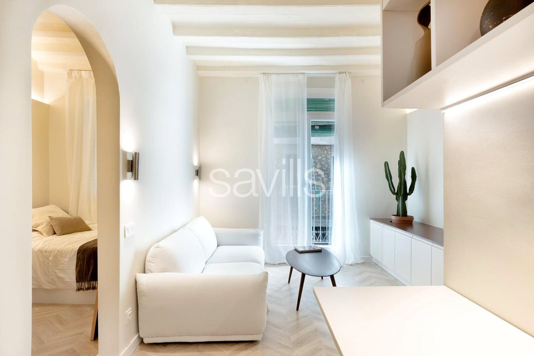 Apartment in Ciutat Vella, Barcelona, Spain 1 - 18006198
