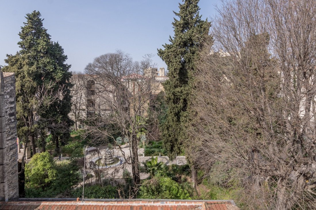 Apartment in Montpellier, Occitania, France 1 - 18011342