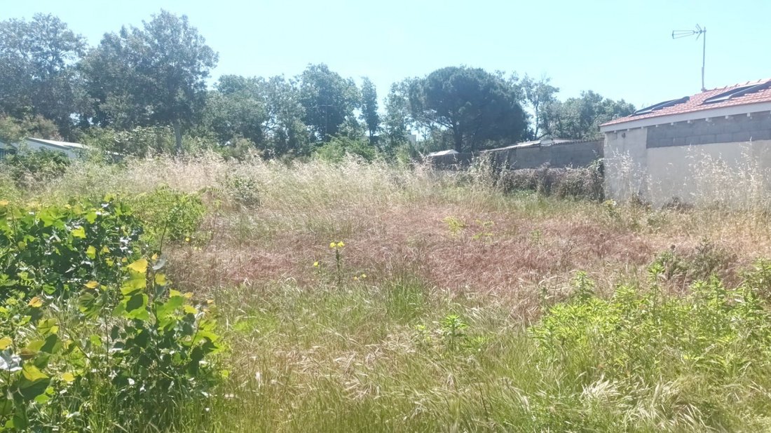 Land in Cooperative, Agde, France 4 - 16433895