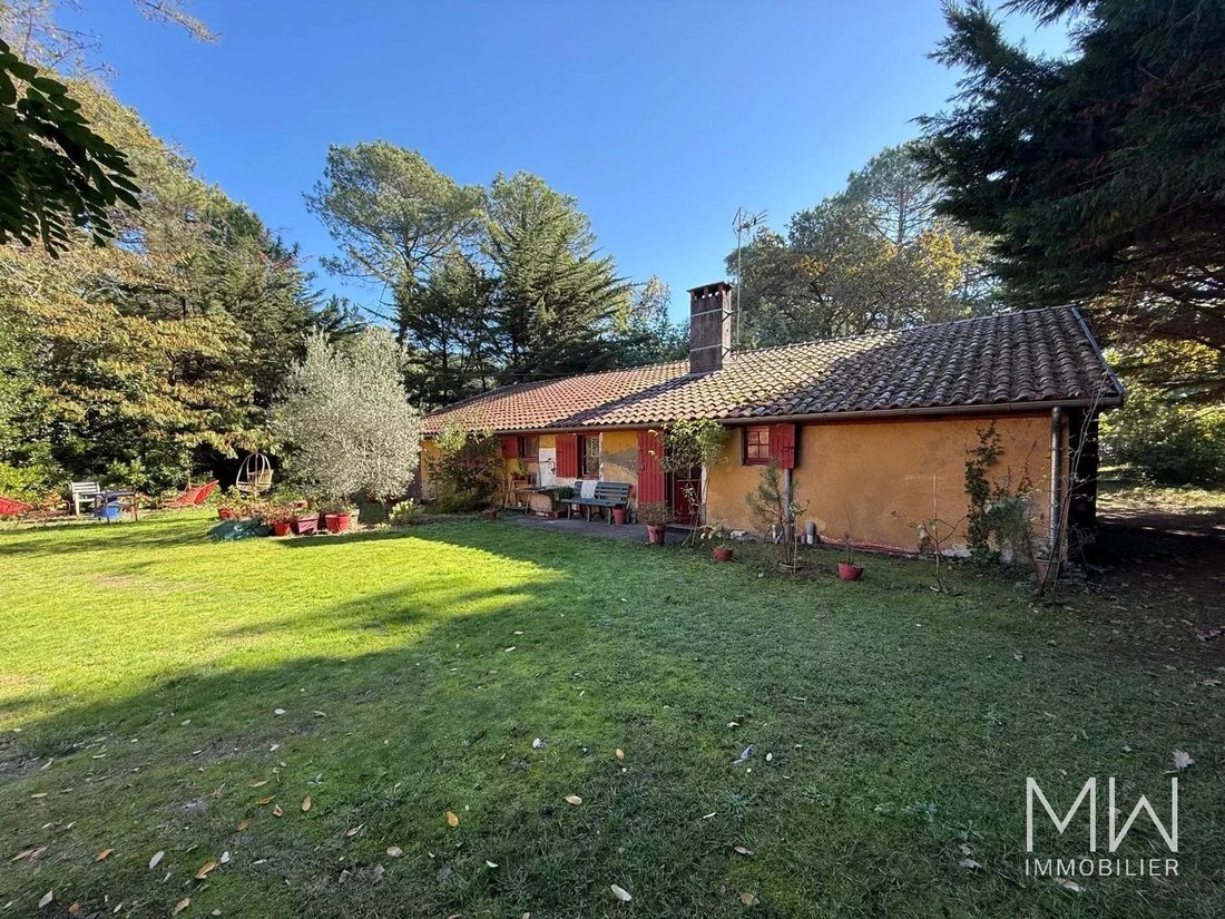 Villa in Centre Cap Ferret, Lège-Cap-Ferret, France 4 - 18008563