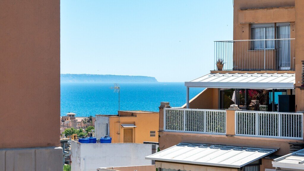 Appartement à Palma, Îles Baléares, Espagne 1 - 18010133