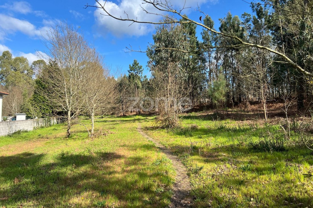 Land in Lago, Braga, Portugal 2 - 18011674