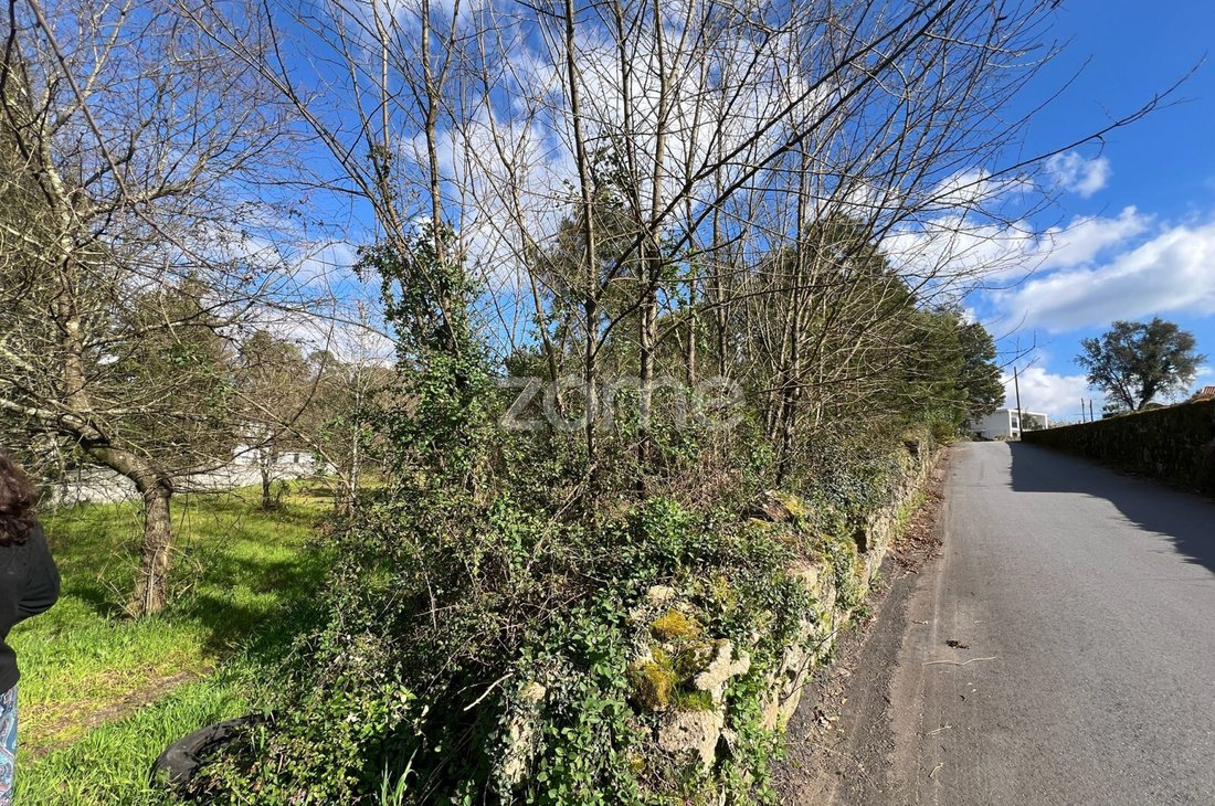 Land in Lago, Braga, Portugal 1 - 18011674