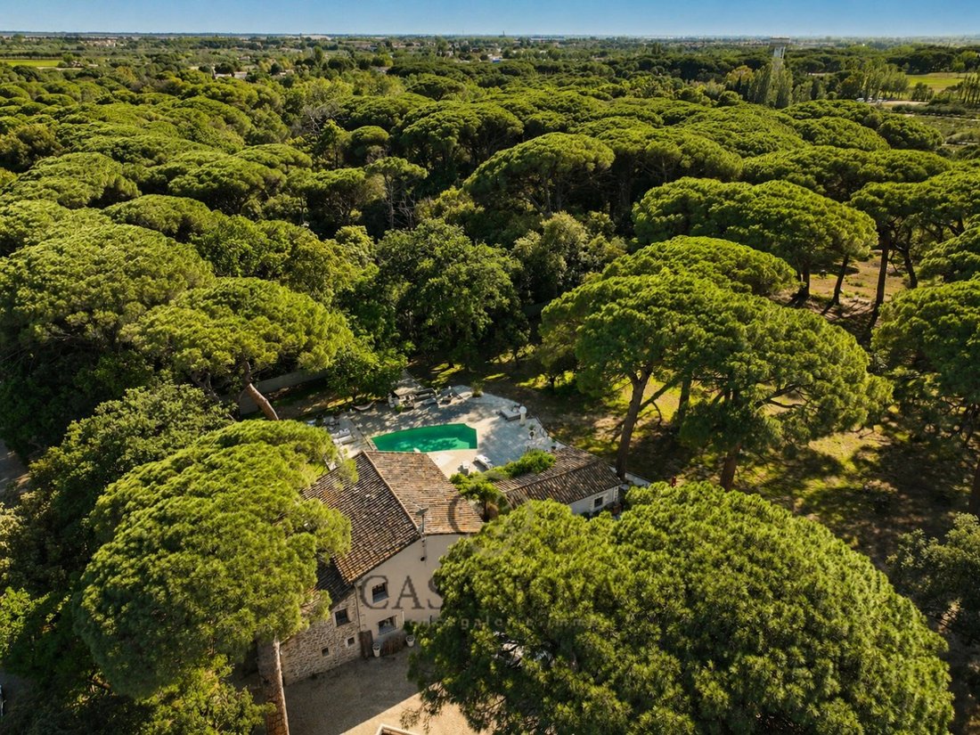House in Centre Ville, Aigues-Mortes, France 4 - 18011469