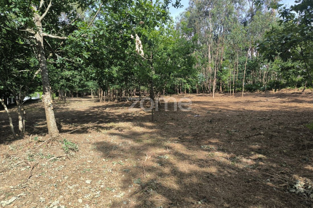 Land in Lago, Braga, Portugal 4 - 18011674